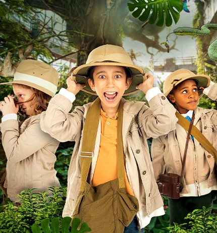 Jungle Quest