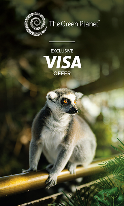 Visa offer