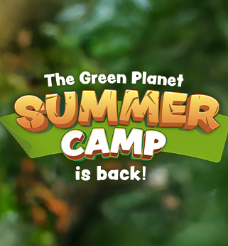 Summer camp