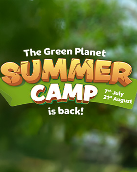 Summer offer