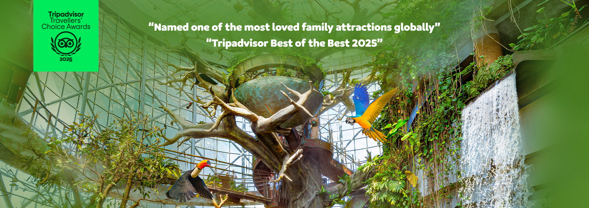 Tripadvisor
