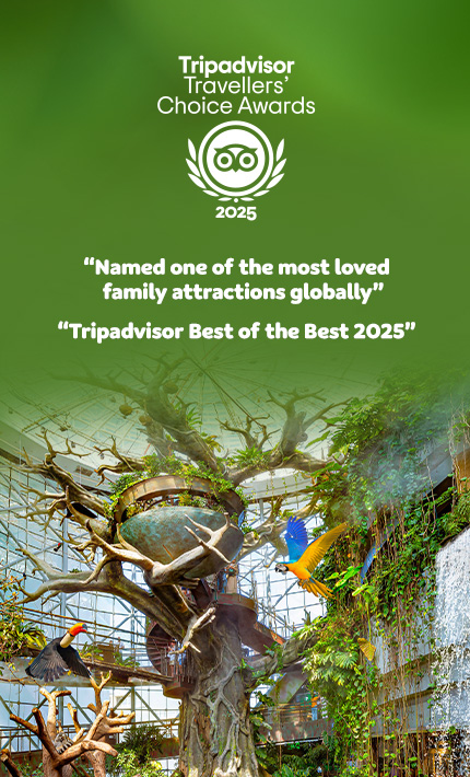 Tripadvisor