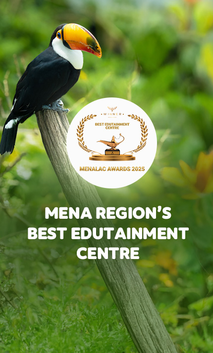 Menalac award