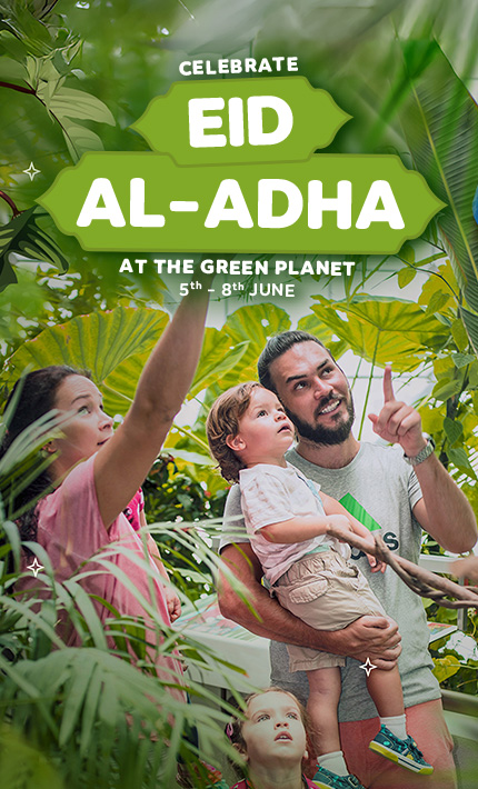 Eid Al-Adha