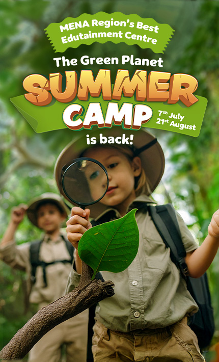 Summer camp