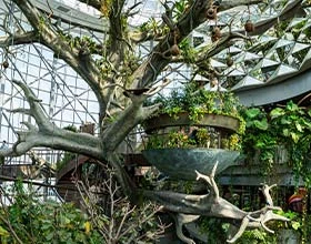 Exciting things to do at The Green Planet Dubai – immersive rainforest experience