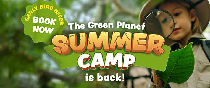Summer camp